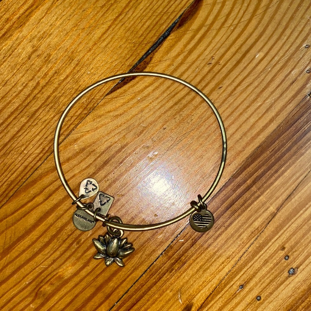 Gold Alex and Ani bangle